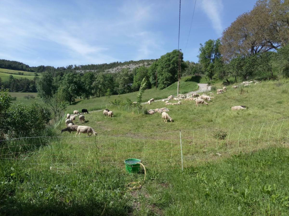 Apartamento Les Logis De Lucie Selonnet Exterior foto
